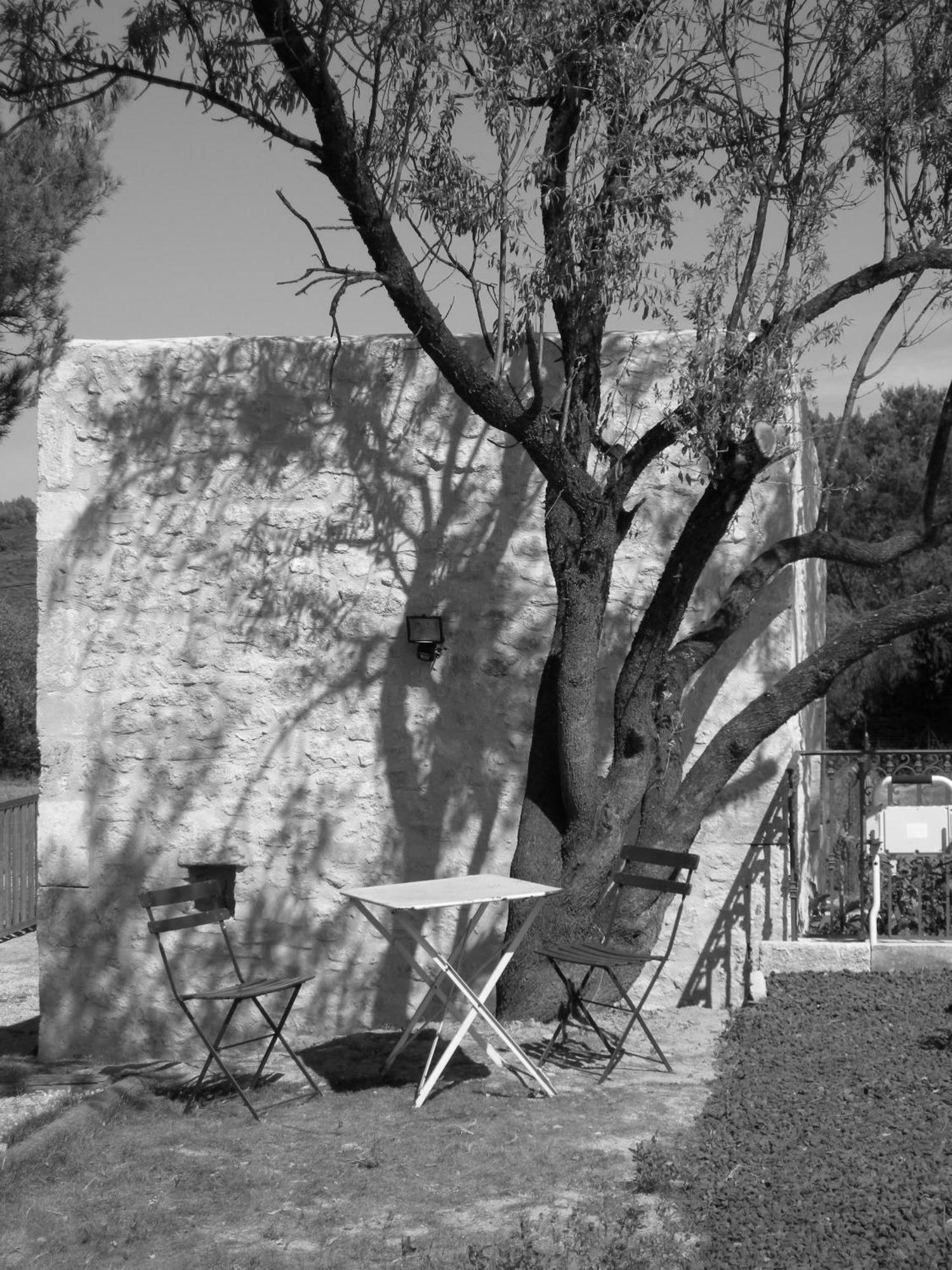 Le Mazet De La Dame Bed & Breakfast Barbentane Exterior photo